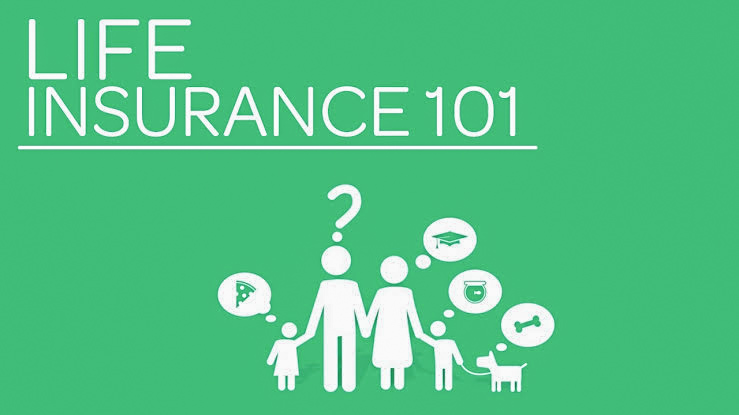 Best Insurance Tips You Will Read This Year